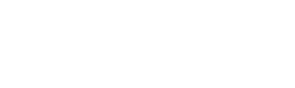 Eirlys Studio white logo